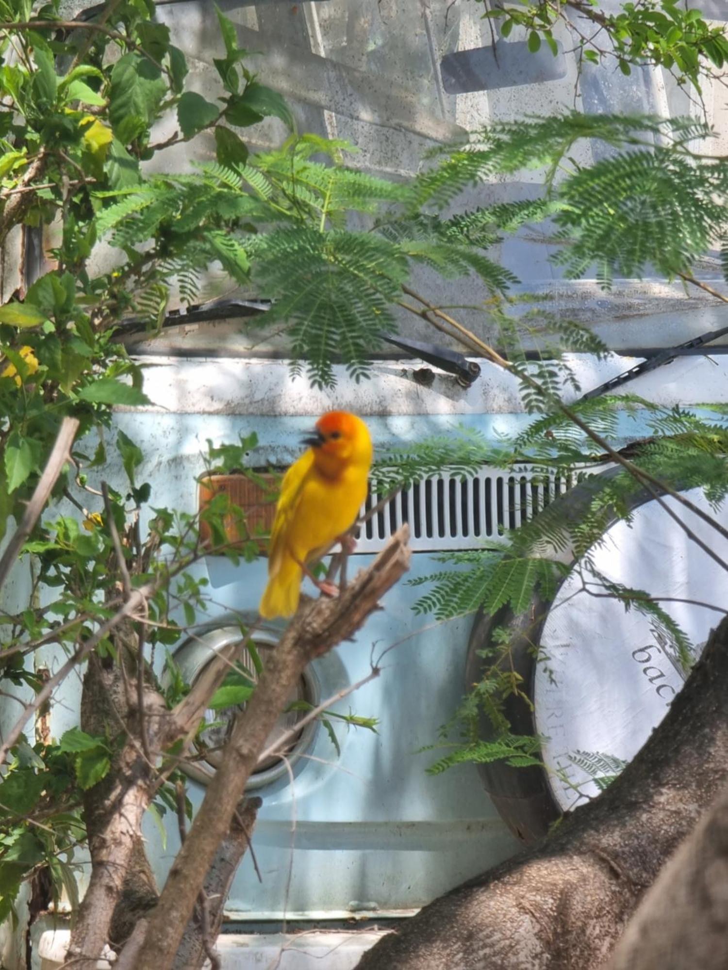 Albergue Tulia House Backpackers Mombasa Exterior foto