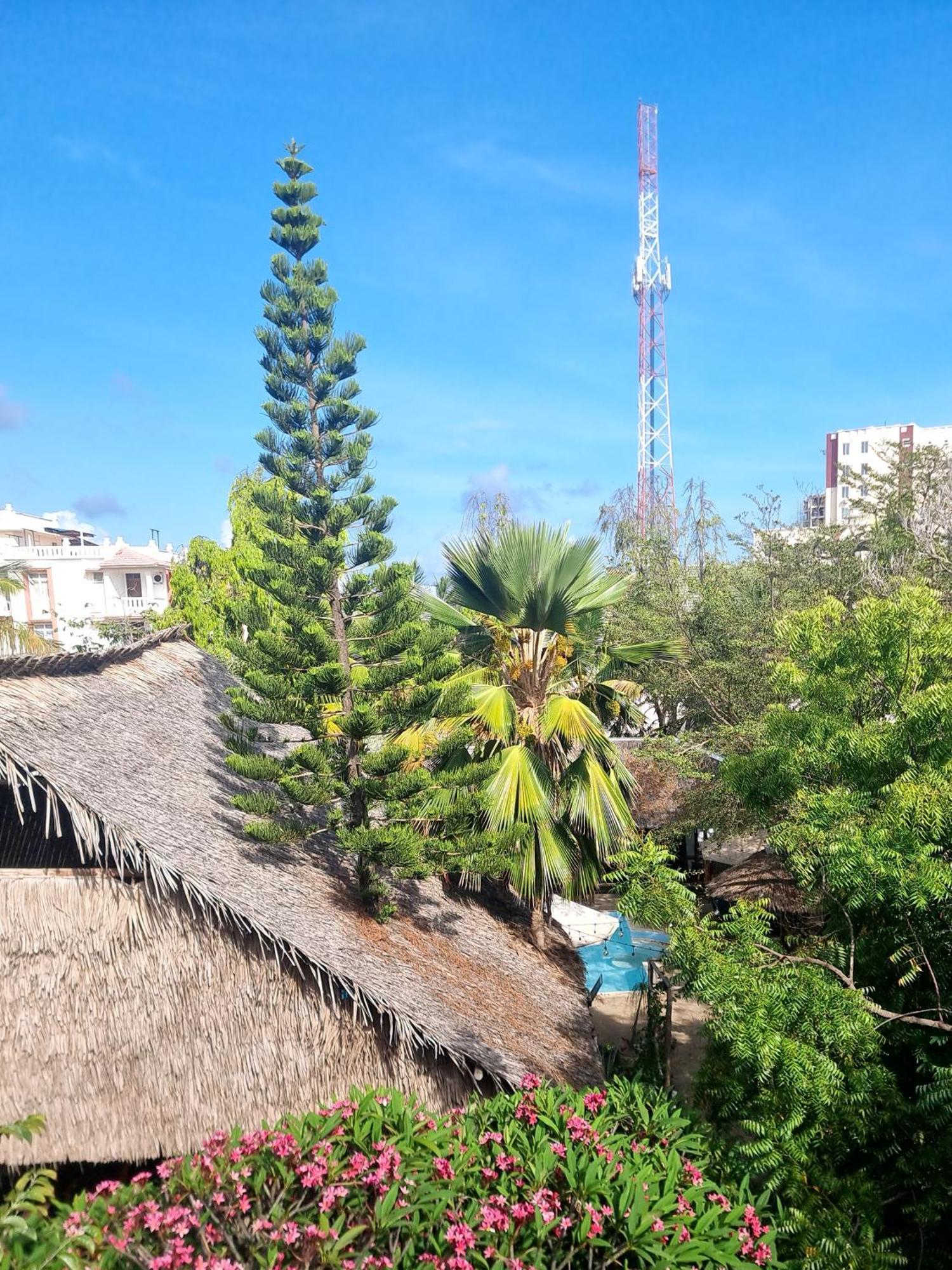 Albergue Tulia House Backpackers Mombasa Exterior foto